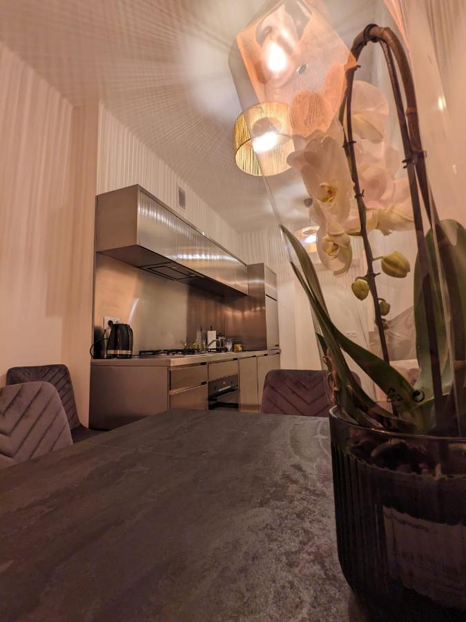 Spacious Two-Bedroom Apartment In The City Center Krakow Luaran gambar