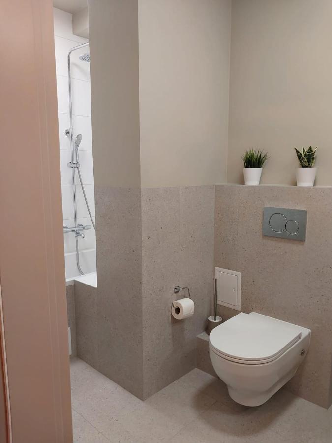 Spacious Two-Bedroom Apartment In The City Center Krakow Luaran gambar